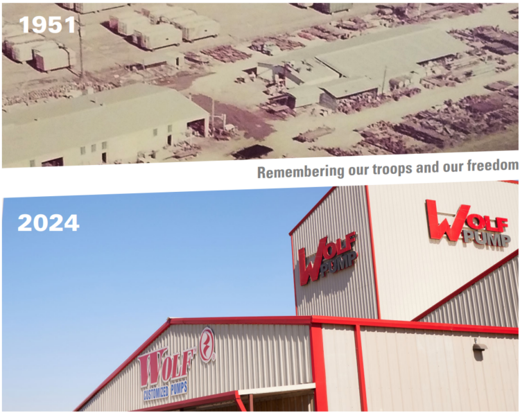 History of Wolf image